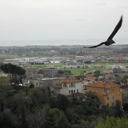 Al Castello Bed and Breakfast Tarquinia Exteriör bild